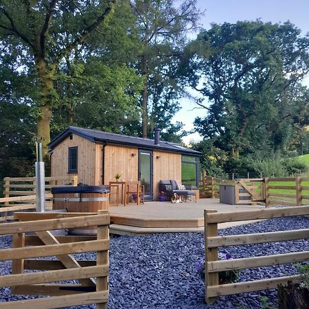 Ty Nant Gwenyn Vila Llanymawddwy Exterior foto